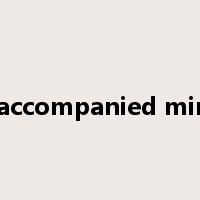 unaccompanied minor是什么意思