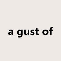 a gust of是什么意思