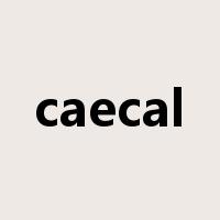 caecal是什么意思