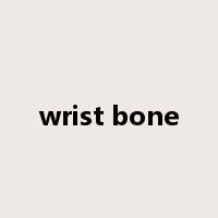 wrist bone是什么意思