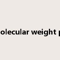 ultra-high molecular weight polyethylene是什么意思