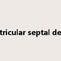 ventricular septal defect是什么意思