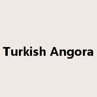 Turkish Angora是什么意思