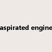 aspirated engine是什么意思