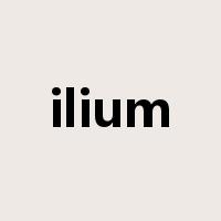 ilium是什么意思