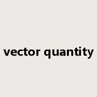vector quantity是什么意思