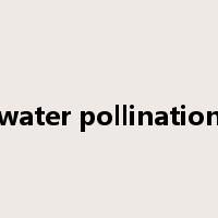 water pollination是什么意思