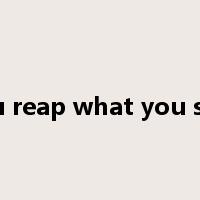 you reap what you sow是什么意思