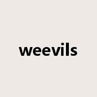 weevils是什么意思