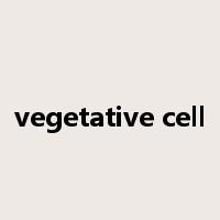 vegetative cell是什么意思