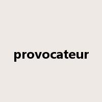 provocateur是什么意思