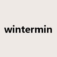 wintermin是什么意思