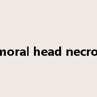 femoral head necrosis是什么意思