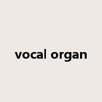 vocal organ是什么意思