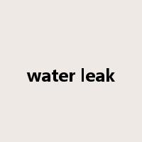 water leak是什么意思