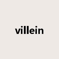 villein是什么意思