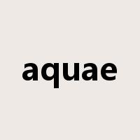 aquae是什么意思