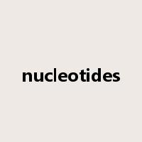 nucleotides是什么意思