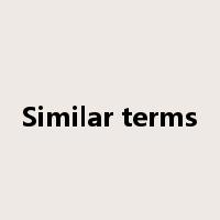 Similar terms是什么意思