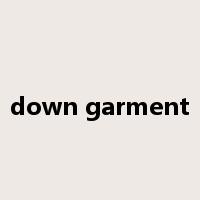 down garment是什么意思