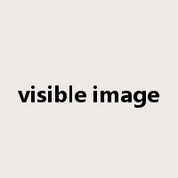 visible image是什么意思