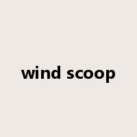 wind scoop是什么意思