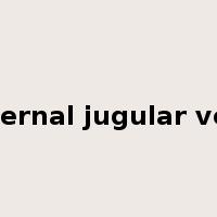 internal jugular vein是什么意思