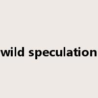 wild speculation是什么意思
