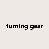 turning gear是什么意思
