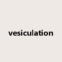 vesiculation是什么意思