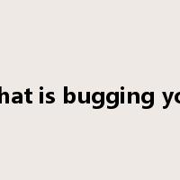 what is bugging you是什么意思