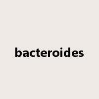 bacteroides是什么意思