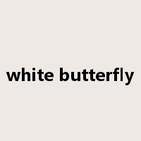 white butterfly是什么意思