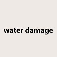 water damage是什么意思