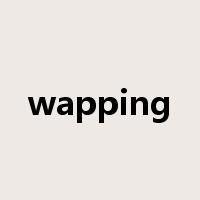 wapping是什么意思
