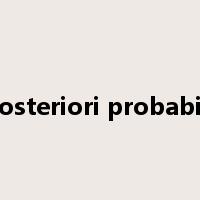 a posteriori probability是什么意思