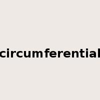 circumferential是什么意思