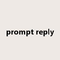 prompt reply是什么意思