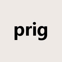 prig是什么意思