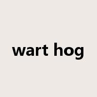 wart hog是什么意思
