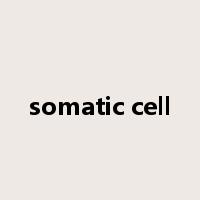 somatic cell是什么意思