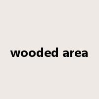 wooded area是什么意思