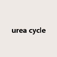 urea cycle是什么意思