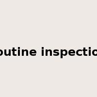 routine inspection是什么意思