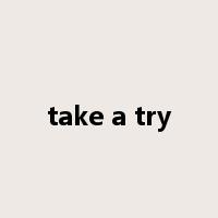 take a try是什么意思