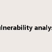 vulnerability analysis是什么意思