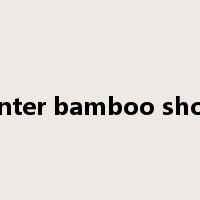 winter bamboo shoot是什么意思