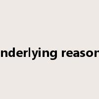 underlying reasons是什么意思