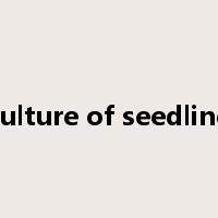 culture of seedling是什么意思