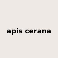 apis cerana是什么意思